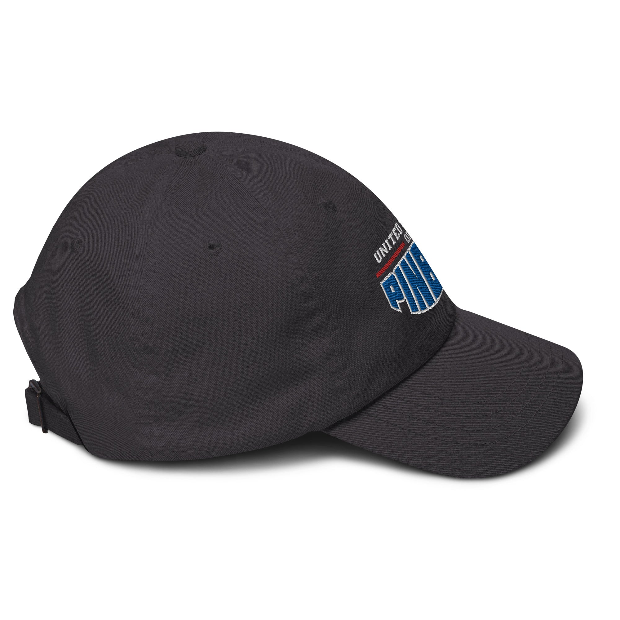 UNITED STATES OF PINBALL - Dad hat - Premium